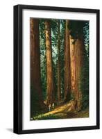 Sequoia Trees, California-null-Framed Art Print