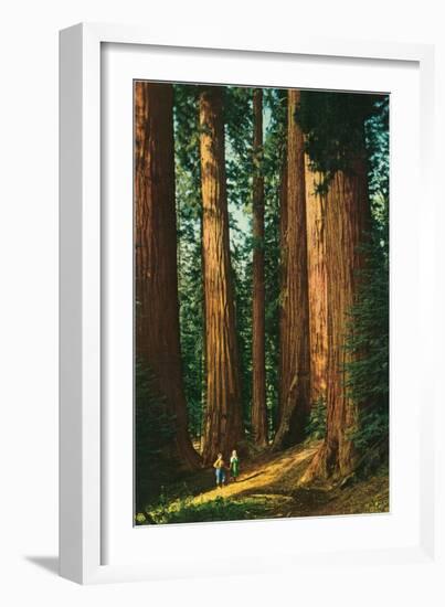 Sequoia Trees, California-null-Framed Art Print