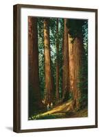 Sequoia Trees, California-null-Framed Art Print