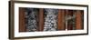 Sequoia Trees Sequoia National Park CA USA-Panoramic Images-Framed Photographic Print