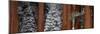 Sequoia Trees Sequoia National Park CA USA-Panoramic Images-Mounted Photographic Print