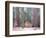 Sequoia Trees-NaxArt-Framed Art Print