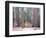 Sequoia Trees-NaxArt-Framed Art Print