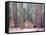Sequoia Trees-NaxArt-Framed Stretched Canvas