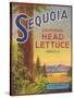 Sequoia Vegetable Label - Watsonville, CA-Lantern Press-Stretched Canvas