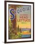 Sequoia Vegetable Label - Watsonville, CA-Lantern Press-Framed Art Print