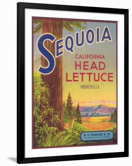 Sequoia Vegetable Label - Watsonville, CA-Lantern Press-Framed Art Print