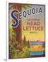 Sequoia Vegetable Label - Watsonville, CA-Lantern Press-Framed Premium Giclee Print