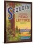 Sequoia Vegetable Label - Watsonville, CA-Lantern Press-Framed Premium Giclee Print