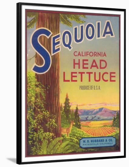 Sequoia Vegetable Label - Watsonville, CA-Lantern Press-Framed Premium Giclee Print