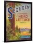 Sequoia Vegetable Label - Watsonville, CA-Lantern Press-Framed Premium Giclee Print