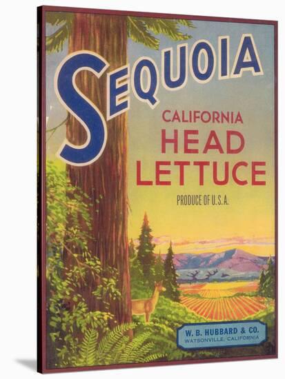 Sequoia Vegetable Label - Watsonville, CA-Lantern Press-Stretched Canvas