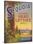 Sequoia Vegetable Label - Watsonville, CA-Lantern Press-Stretched Canvas