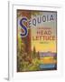 Sequoia Vegetable Label - Watsonville, CA-Lantern Press-Framed Art Print