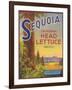 Sequoia Vegetable Label - Watsonville, CA-Lantern Press-Framed Art Print