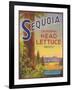 Sequoia Vegetable Label - Watsonville, CA-Lantern Press-Framed Art Print