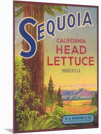Sequoia Vegetable Label - Watsonville, CA-Lantern Press-Mounted Art Print
