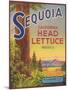 Sequoia Vegetable Label - Watsonville, CA-Lantern Press-Mounted Art Print