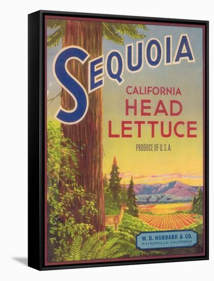 Sequoia Vegetable Label - Watsonville, CA-Lantern Press-Framed Stretched Canvas