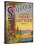 Sequoia Vegetable Label - Watsonville, CA-Lantern Press-Stretched Canvas