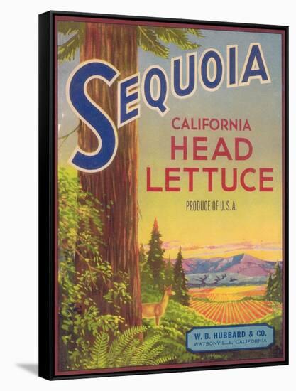 Sequoia Vegetable Label - Watsonville, CA-Lantern Press-Framed Stretched Canvas