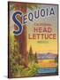 Sequoia Vegetable Label - Watsonville, CA-Lantern Press-Stretched Canvas