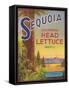 Sequoia Vegetable Label - Watsonville, CA-Lantern Press-Framed Stretched Canvas