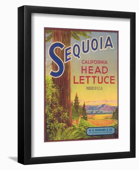 Sequoia Vegetable Label - Watsonville, CA-Lantern Press-Framed Art Print