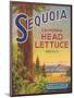 Sequoia Vegetable Label - Watsonville, CA-Lantern Press-Mounted Art Print