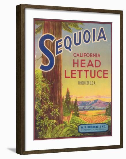 Sequoia Vegetable Label - Watsonville, CA-Lantern Press-Framed Art Print