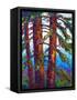 Sequoia-Marion Rose-Framed Stretched Canvas
