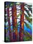 Sequoia-Marion Rose-Stretched Canvas