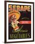 Serape Vegetable Label - Guadalupe, CA-Lantern Press-Framed Art Print