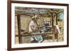 Serape Weaver, Texcoco, Mexico-null-Framed Art Print