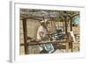 Serape Weaver, Texcoco, Mexico-null-Framed Art Print