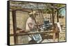 Serape Weaver, Texcoco, Mexico-null-Framed Stretched Canvas