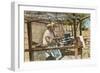 Serape Weaver, Texcoco, Mexico-null-Framed Art Print