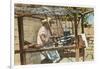 Serape Weaver, Texcoco, Mexico-null-Framed Art Print