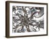 Seraphim copy-Fractalicious-Framed Giclee Print