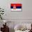 Serbia Flag Design with Wood Patterning - Flags of the World Series-Philippe Hugonnard-Stretched Canvas displayed on a wall
