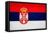 Serbia Flag Design with Wood Patterning - Flags of the World Series-Philippe Hugonnard-Framed Stretched Canvas