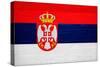 Serbia Flag Design with Wood Patterning - Flags of the World Series-Philippe Hugonnard-Stretched Canvas