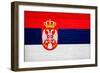 Serbia Flag Design with Wood Patterning - Flags of the World Series-Philippe Hugonnard-Framed Art Print