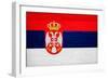 Serbia Flag Design with Wood Patterning - Flags of the World Series-Philippe Hugonnard-Framed Art Print