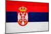 Serbia Flag Design with Wood Patterning - Flags of the World Series-Philippe Hugonnard-Mounted Art Print