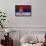 Serbian Flag-igor stevanovic-Framed Stretched Canvas displayed on a wall