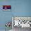 Serbian Flag-igor stevanovic-Art Print displayed on a wall