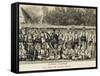 Serbian Military Leaders During the First World War Period-null-Framed Stretched Canvas