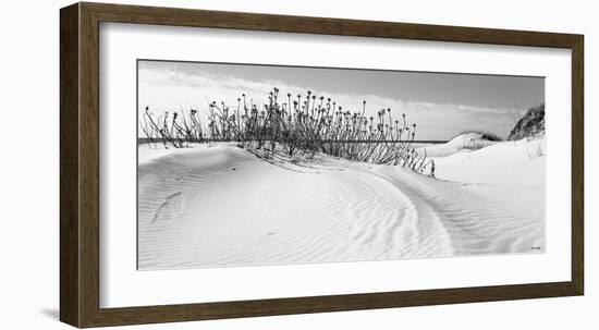 Serebe Shorline-Eve Turek-Framed Art Print