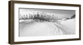 Serebe Shorline-Eve Turek-Framed Art Print